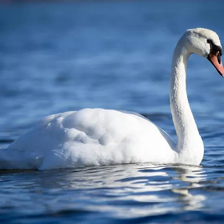 10 Person In Sjolund-by Traum Prázdninový dům *