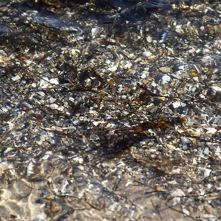 Prázdninový dům 10 Person In Sjolund-by Traum